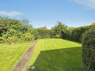 Picture 13